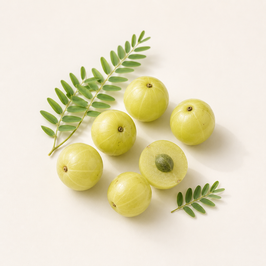 Amla Berry Extract