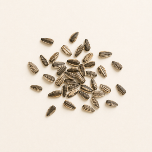Thiamin (Vitamin B1)